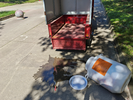 图片包含 户外, 草, 桌子, 男人 AI 生成的内容可能不正确。